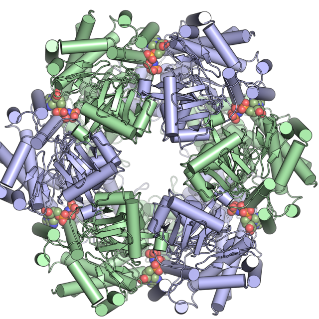 Biochemistry And Molecular Biophysics | The University Of Chicago