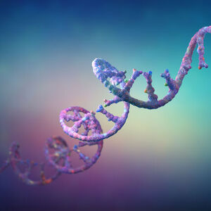 RNA